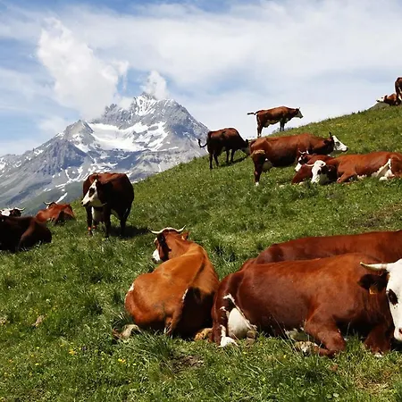 Les Balcons Proche Parc National Vanoise 2 Pièces 6 Pers Montagne Superieur